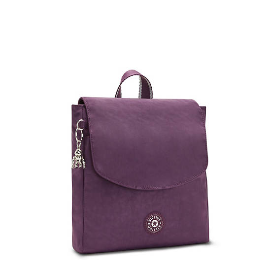 Kipling Dannie Small Backpacks Endless Plum | AU 1549OK